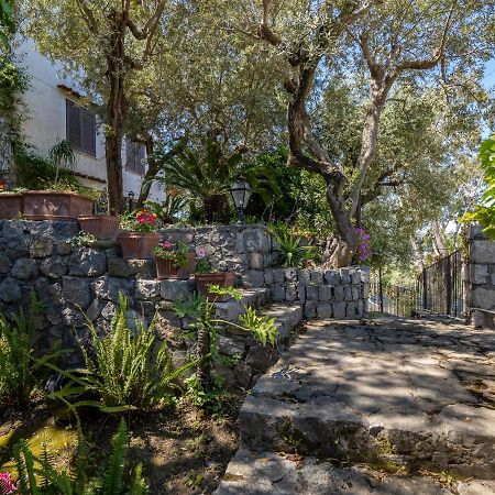 Ulivi Apt Villa Sorrento Eksteriør bilde