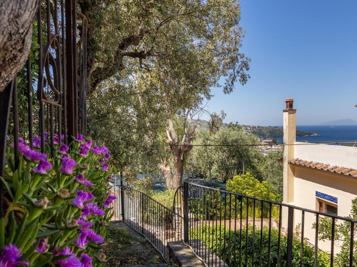 Ulivi Apt Villa Sorrento Eksteriør bilde