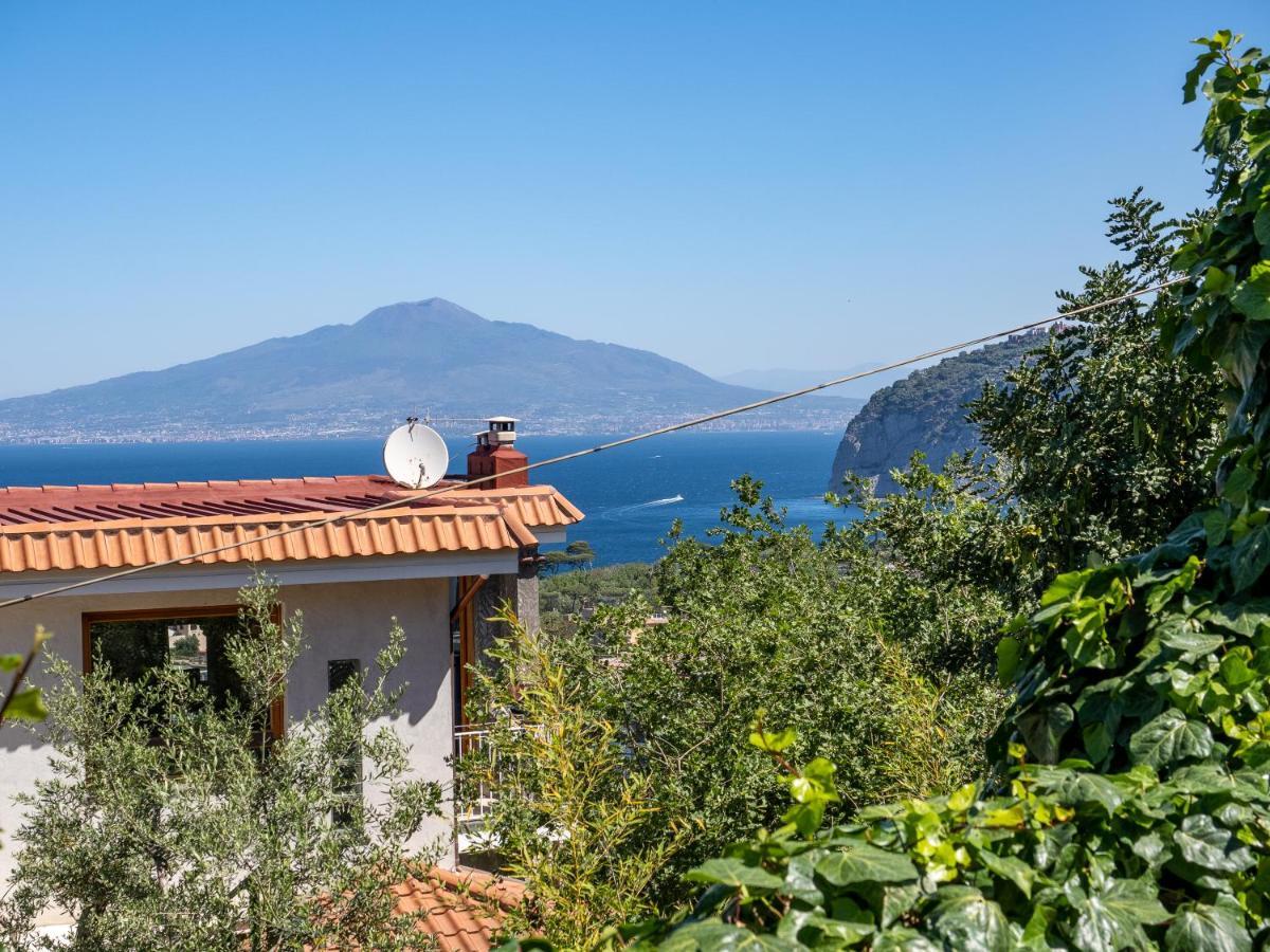 Ulivi Apt Villa Sorrento Eksteriør bilde