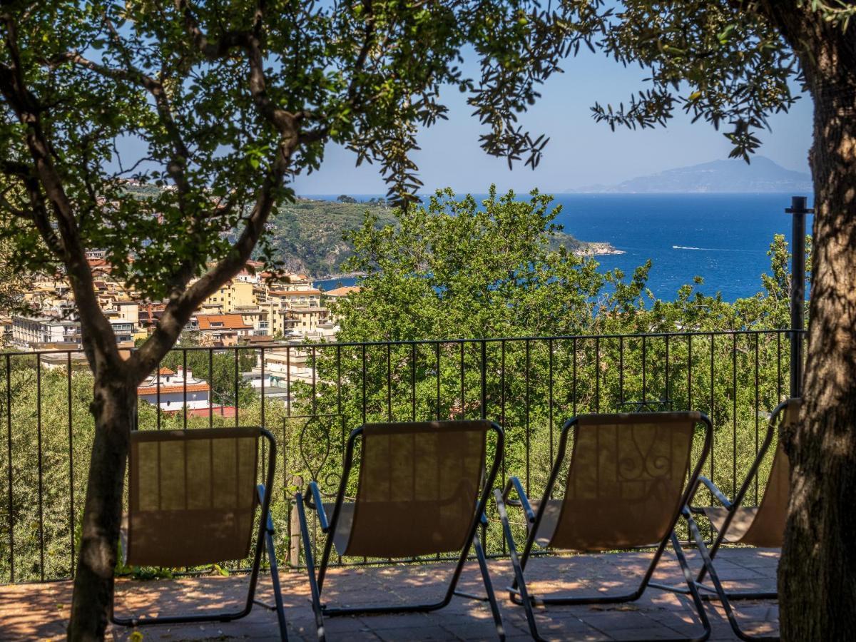 Ulivi Apt Villa Sorrento Eksteriør bilde