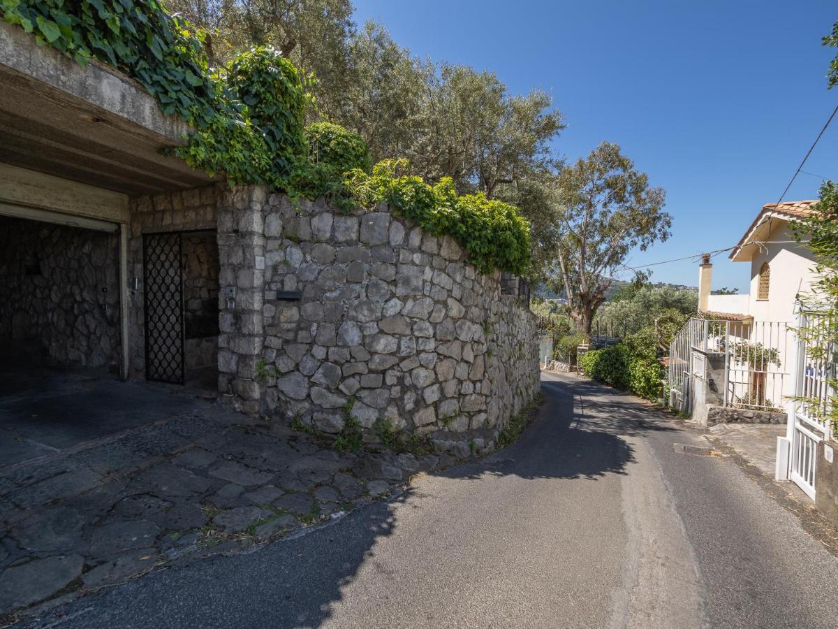 Ulivi Apt Villa Sorrento Eksteriør bilde