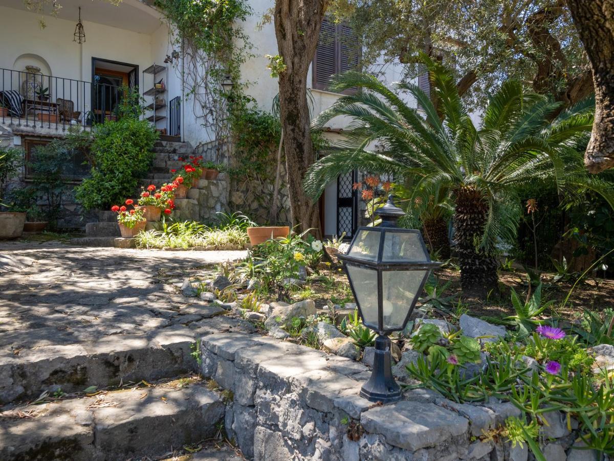 Ulivi Apt Villa Sorrento Eksteriør bilde