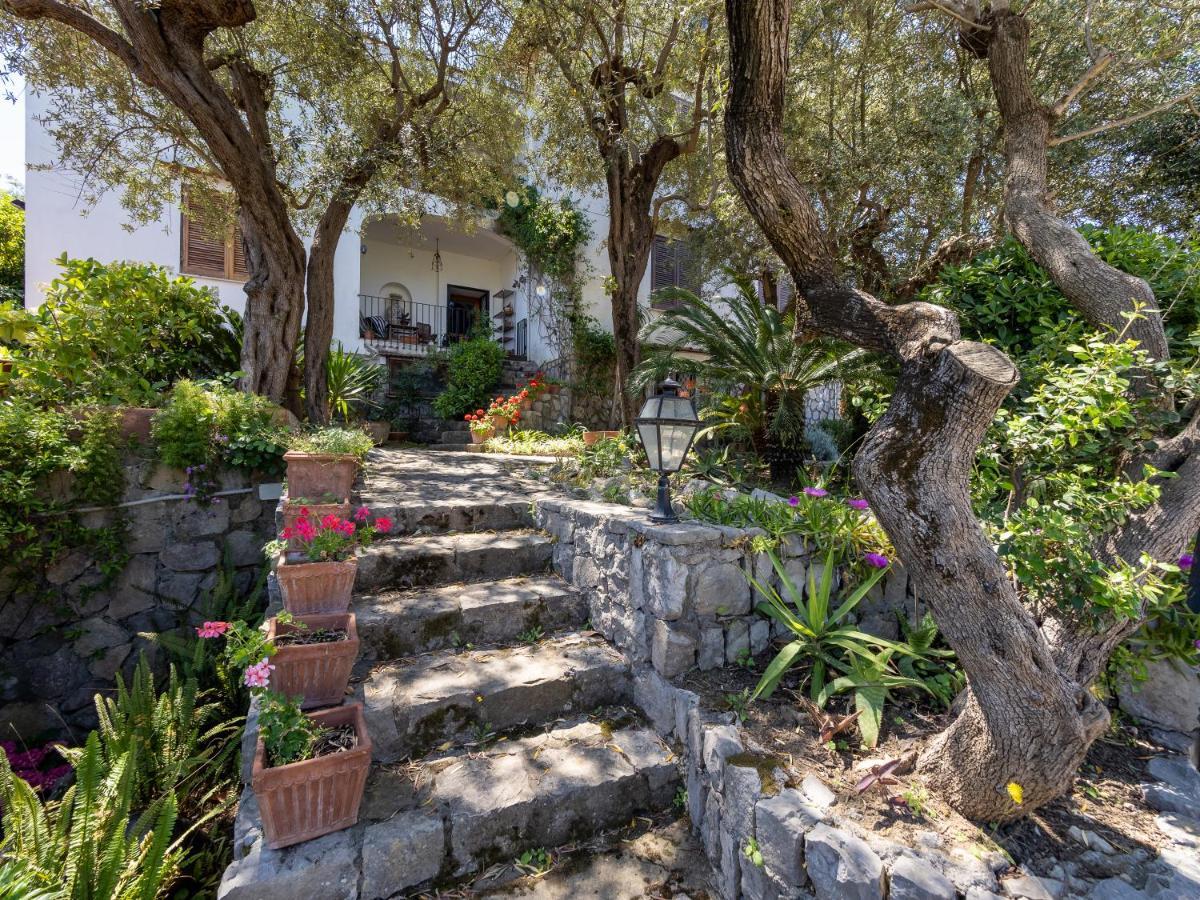 Ulivi Apt Villa Sorrento Eksteriør bilde