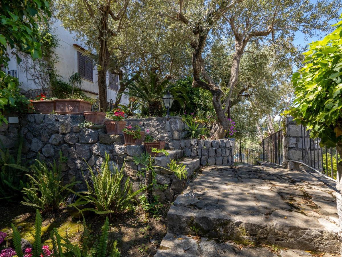 Ulivi Apt Villa Sorrento Eksteriør bilde